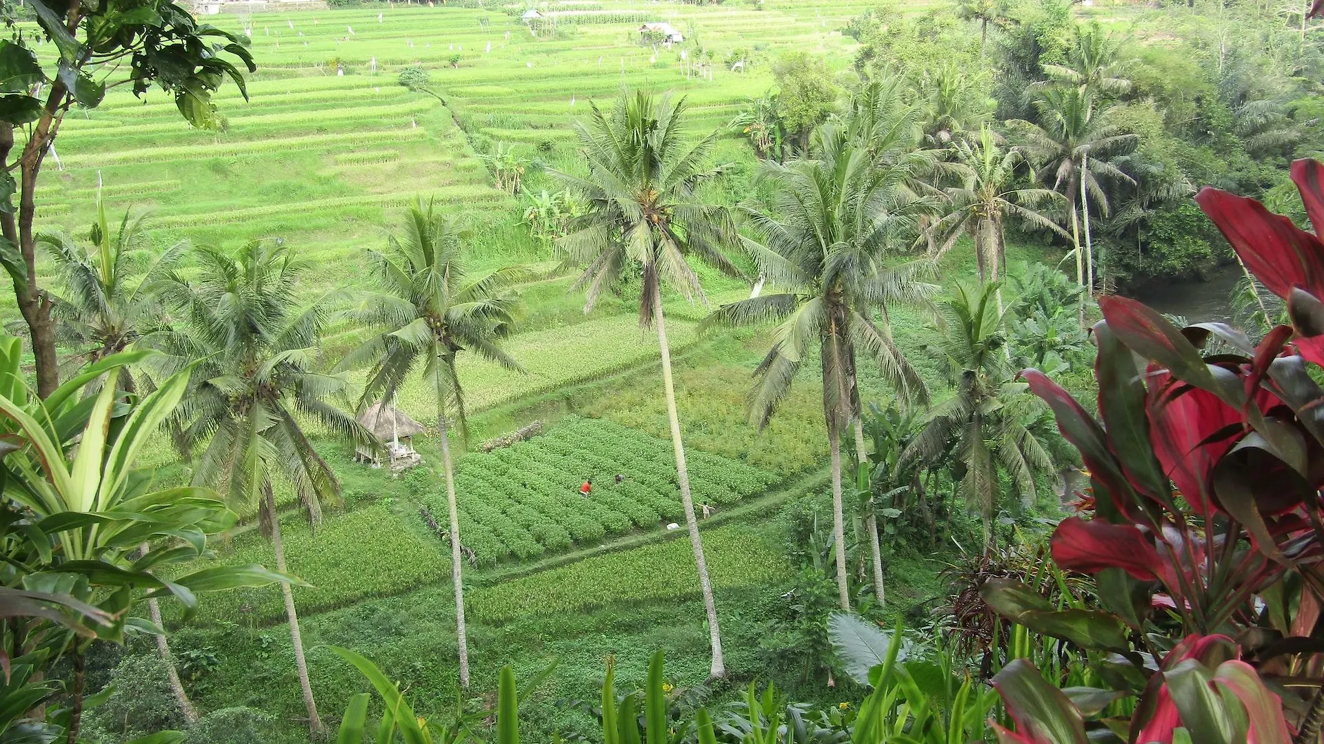 Permata Ayung - Adult Only location