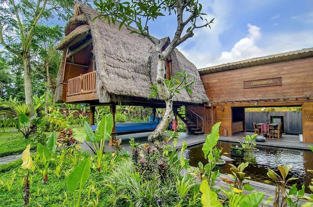 Permata Ayung - Adult Only Hotel Ubud  4*, Ubud (Bali) Indonesia