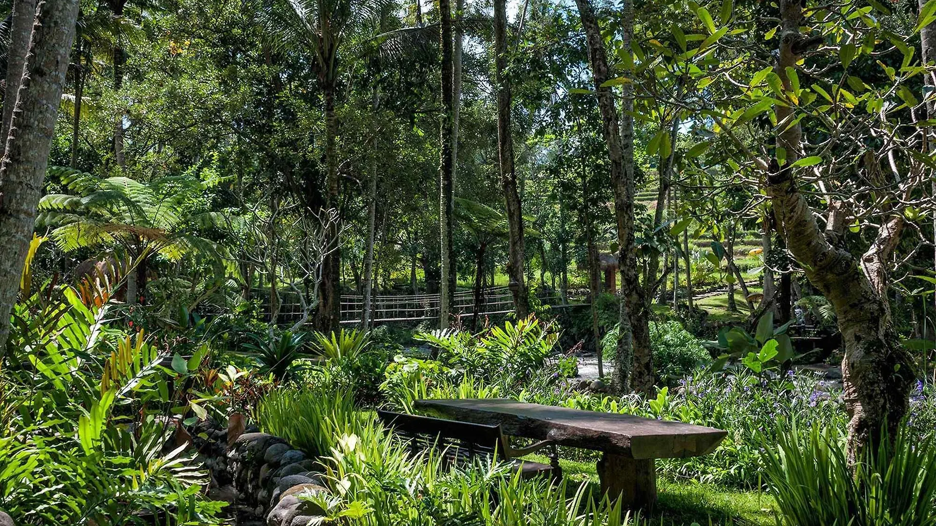 ****  Permata Ayung - Adult Only Hotel Ubud  Indonesia