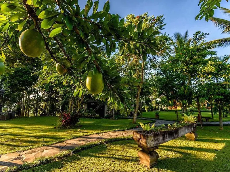 Permata Ayung - Adult Only Hotel Ubud  4*, Ubud (Bali) Indonesia