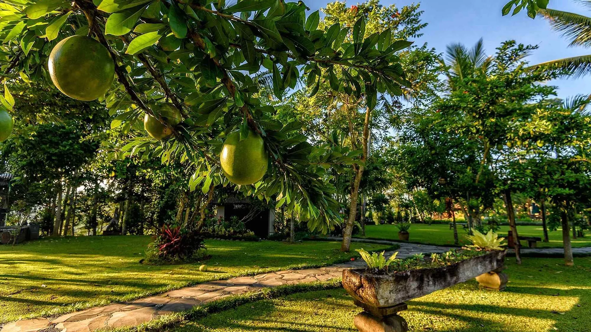 Permata Ayung - Adult Only Hotel Ubud